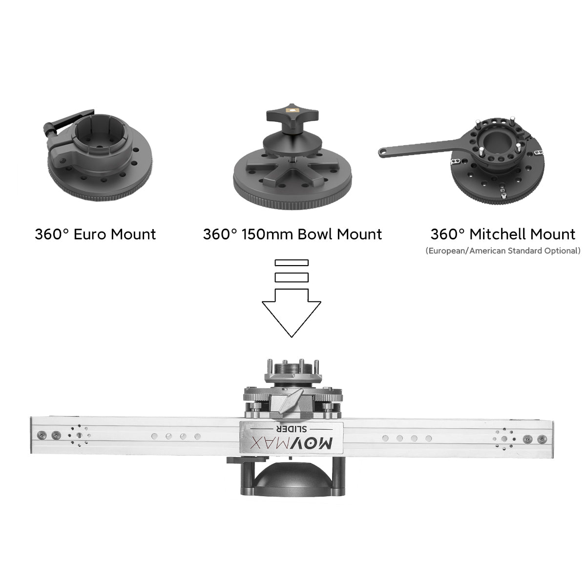 Mitchell/EURO/150mm Bowl Mount For 360° MasterAdapter